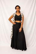 DINI's POLKA PARADE SET