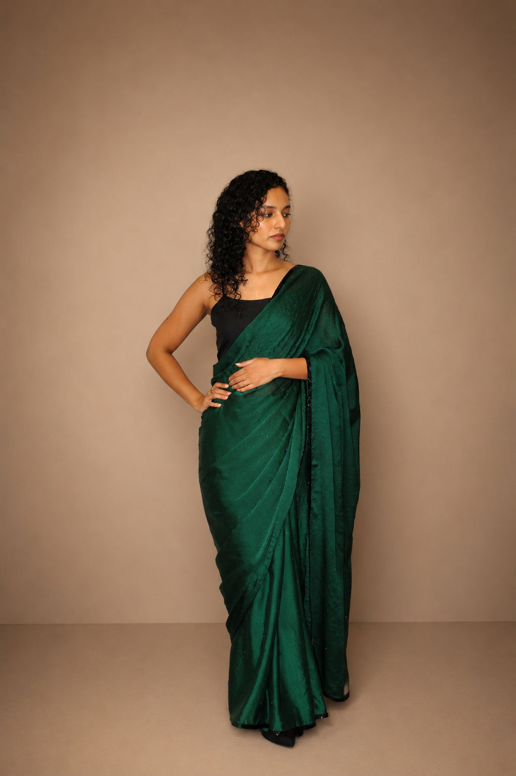 DINI's JADE EBONY SAREE